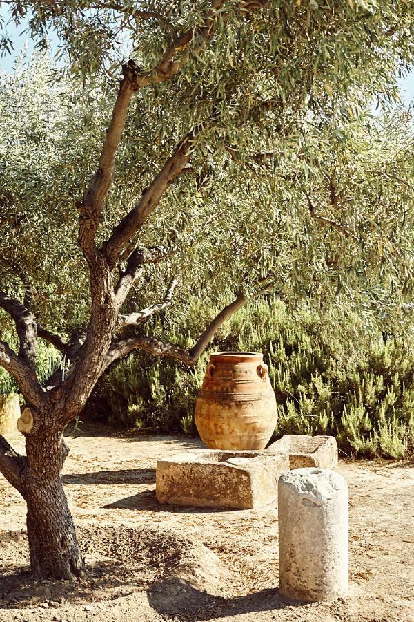 Nikolaou Art Residence Aegina Exteriér fotografie