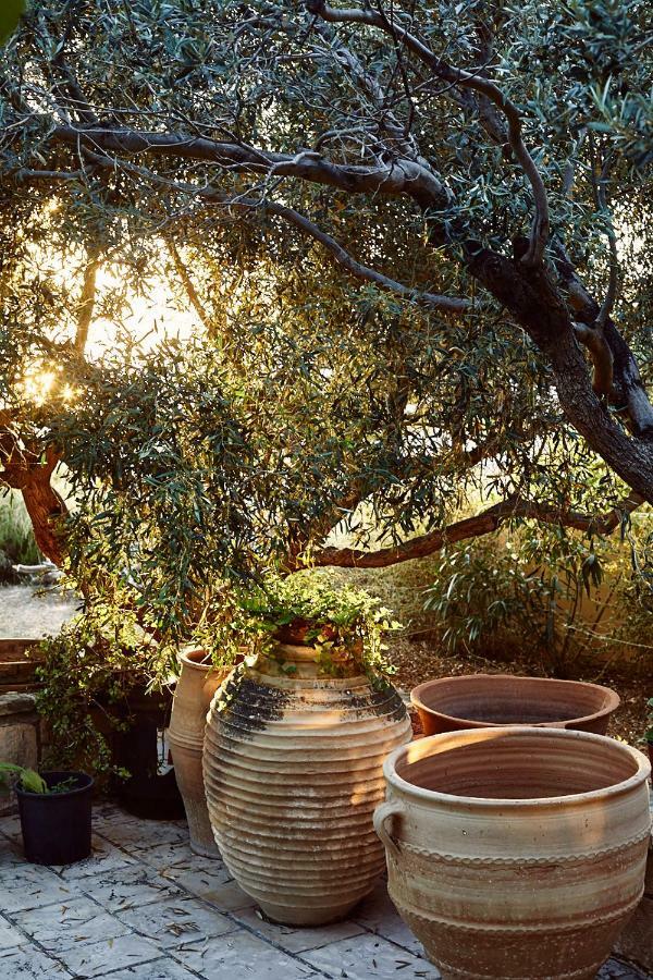 Nikolaou Art Residence Aegina Exteriér fotografie